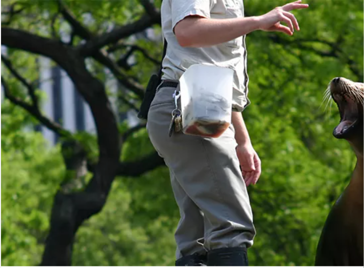 Animal Attendants and Trainers (nec)