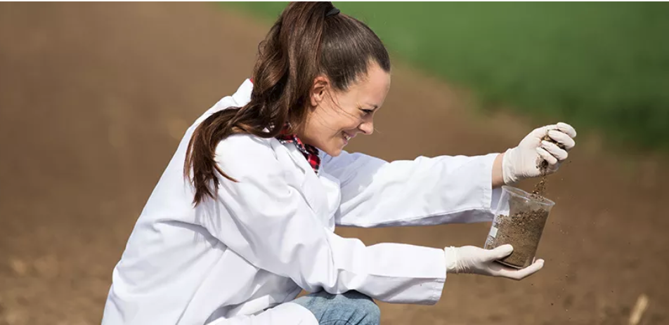 Environmental Scientist (nec)