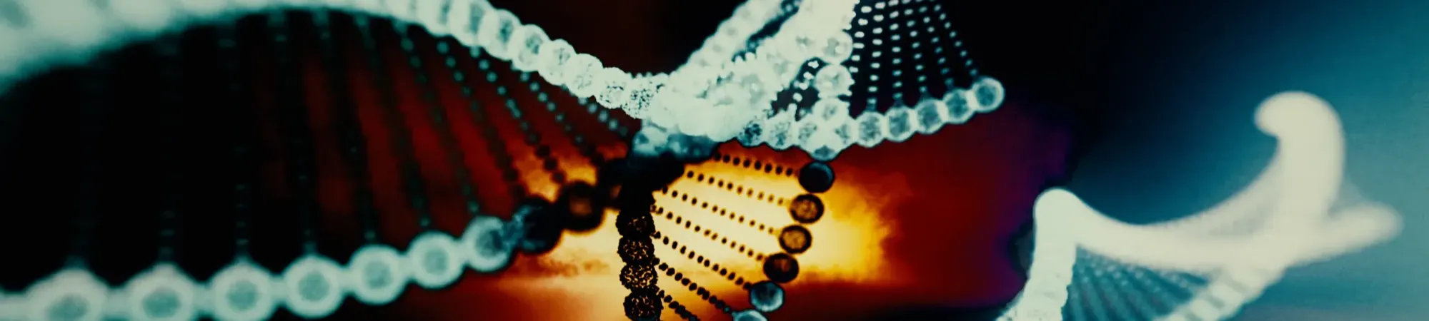 Healthcare Staffing Vacancies