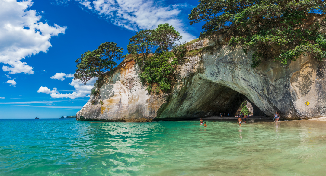 Nz Is Open! Working Holiday Visas Now Open From Mid March  1080 X 5843