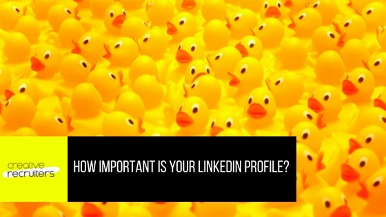 How Important Is Your LinkedIn Profile Vanessa Dolan