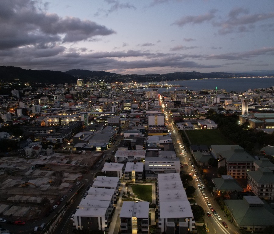 Wellington skyline