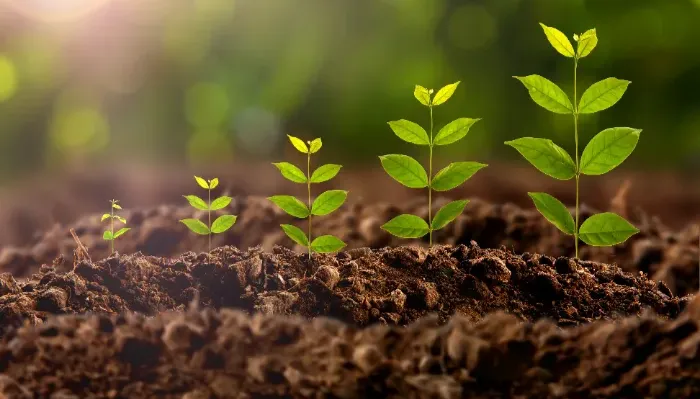 Agricrew Visa Applicants