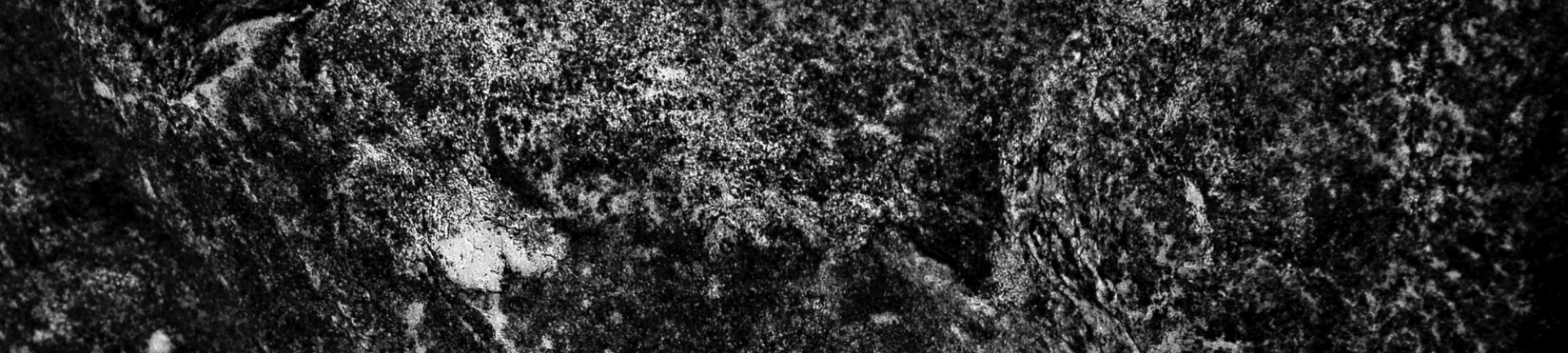 Banner Default Image