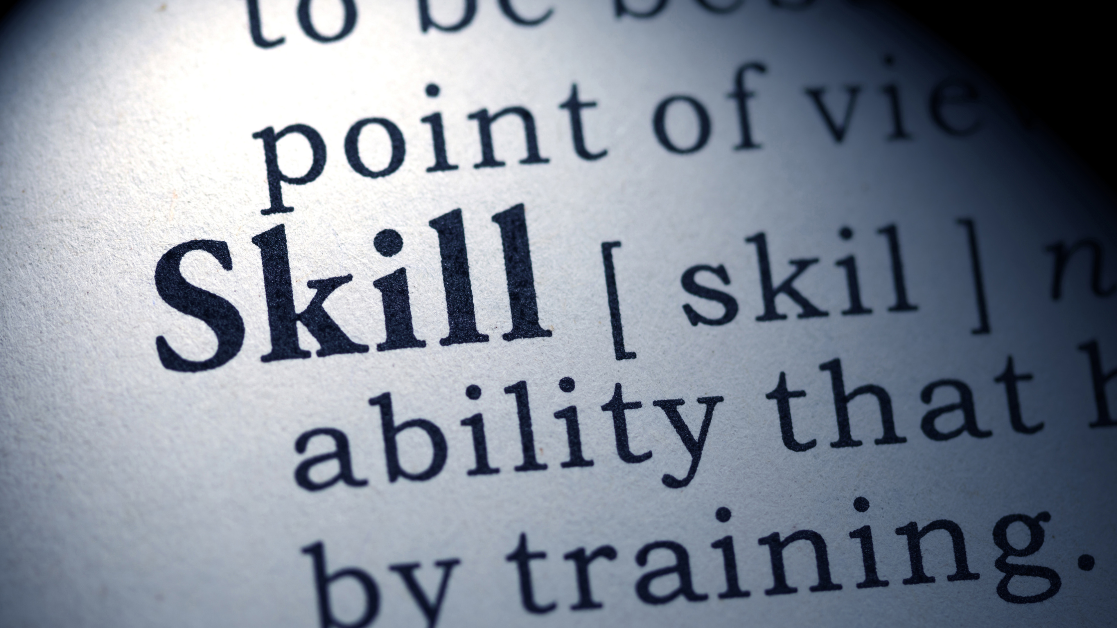 What Skills Do You Need to Work in Freight and Logistics?