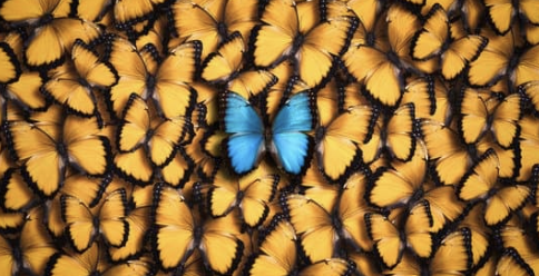 Beyond the CV: Unique Ways to Stand Out When Applying for Jobs