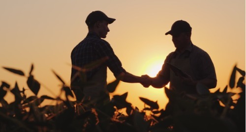 Two co-workers shaking hands